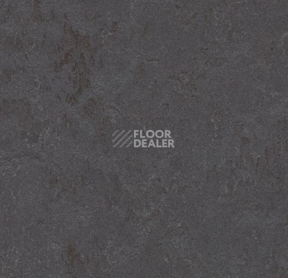 Линолеум Forbo Marmoleum Decibel on Order 372535 cosmos фото 1 | FLOORDEALER